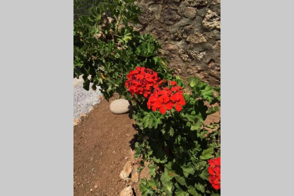 Gerani Maison Agios Aimilianos Beautiful View Porto Heli Ngoại thất bức ảnh